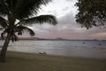 Island sunset with palm tree, ocean and pink clouds