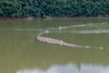 Island of trash and debris in reservoir