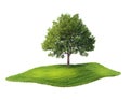 Island with tree floating in the air Royalty Free Stock Photo