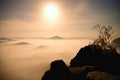 Island with tree in misty ocean. Full moon night in beautiful mountain. Sandstone peaks increased from heavy creamy fog. Royalty Free Stock Photo