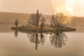 Island and tree silhouette reflected in the small loch in early morning mist and fog Royalty Free Stock Photo