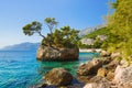 Island and trees in Brela, Croatia Royalty Free Stock Photo