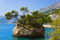 Island and trees in Brela, Croatia Royalty Free Stock Photo