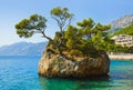 Island and trees in Brela, Croatia Royalty Free Stock Photo