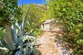 Island of Vis jungle path in Stinva bay Royalty Free Stock Photo