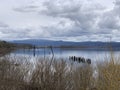 Government island in the Columbia River viewed from Camas-Washougal