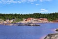 Island where gulls nest in the middle of a lake in an old kaolin quarry Royalty Free Stock Photo