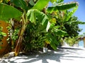 Street scenes of maldivian town on Huraa island