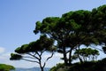 The islands of lerins off the coast of cannes