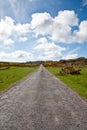 Islay road Royalty Free Stock Photo