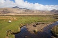 Isle of Mull Scotland UK rural countryside scene with view to Ben More and Glen More mountains