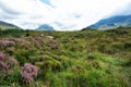 Isle of Skye in Scotland with the Cuillin mountain range in the background Royalty Free Stock Photo