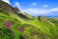 Green highland landscape of the Quiraing, Isle of Skye, Scotland with purple flowers Royalty Free Stock Photo