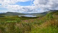 Isle of Skye vegetation, wild flowers and Loch Leathan lake landscape, Scotland