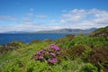 Isle of Skye. Royalty Free Stock Photo