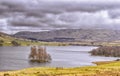 Isle of Trees in Scottish Loch Freuchie Royalty Free Stock Photo