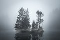 Isle of Trees Separated by Mist