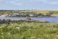 Isles of Scilly, UK - Old stone wall deviding meadows near Peninnis Head, Hugh Town in the background Royalty Free Stock Photo