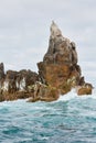 Isles of Scilly, UK - Seagull sitting on huge rock near Bishop Rock Lighthouse