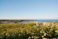 Isles of Scilly, UK - view of a meadow and coastline with Hugh Town and airport in the back