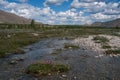 Islet with flowers in line with the mountain river.