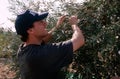 An ISM volunteer in an olive grove, Palestine.