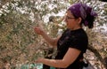 A ISM volunteer in an olive grove in Palestine.