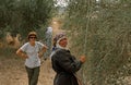 ISM volunteer and Palestinian women working in an olive grove.