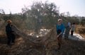 ISM volunteers in an olive grove, Palestine