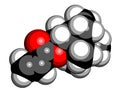 Isobornyl acrylate molecule. 3D rendering.