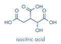 Isocitric acid molecule. Skeletal formula.