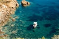 Isola del Giglio, arcipelago toscano. Crystal clear water