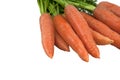 Isoladet carrots. Fresh natural orange carrot with white background