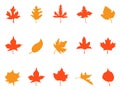 Color autumn leaves patterns icons