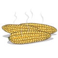 Isolate boiled corn ears with steam