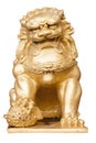 Isolate of Chinese Lion Statue. Royalty Free Stock Photo