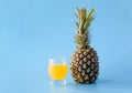 Isolate exotic pineapple on blue background Royalty Free Stock Photo