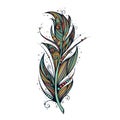 Isolate feather icon vector illustration Royalty Free Stock Photo