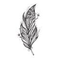 Isolate feather icon vector illustration Royalty Free Stock Photo