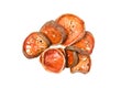 Isolate heap of dried bael fruit Royalty Free Stock Photo