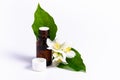 isolate, jasmine flower with a bottle of essential oil