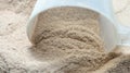 Isolate protein powder flavour with scoop macro