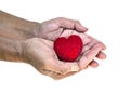 Isolate of red heart on dirty hands of old man, Royalty Free Stock Photo