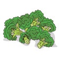 Isolate ripe broccoli stalks