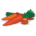 Isolate ripe carrot root vegetable