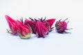 Isolate of Rosella Seeds Royalty Free Stock Photo