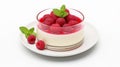 Isolate on a white background raspberry panna-kotta