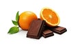 Isolate on a white background sweet aromatic orange cocoa-plane