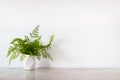 Isolate white jar and tropical green leaves place on grey marble surface table and white and clear Concrete wall.