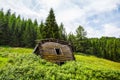 Isolated and abandoned mountain cabin in the woods / Dolomites / Italy/green/trees/ Royalty Free Stock Photo